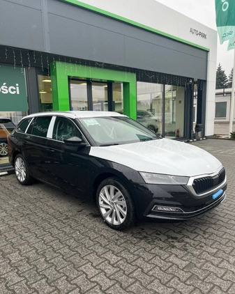 Skoda Octavia cena 151300 przebieg: 7, rok produkcji 2024 z Piła małe 11